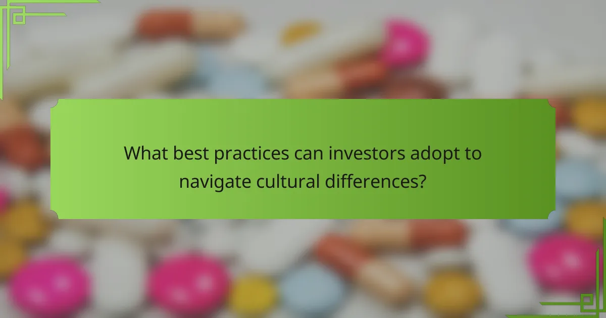 What best practices can investors adopt to navigate cultural differences?